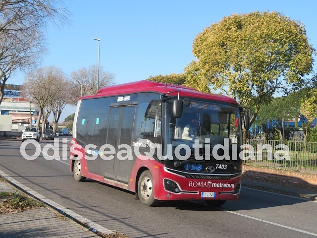Rete bus periferica: che fine hanno fatto i nuovi bus?