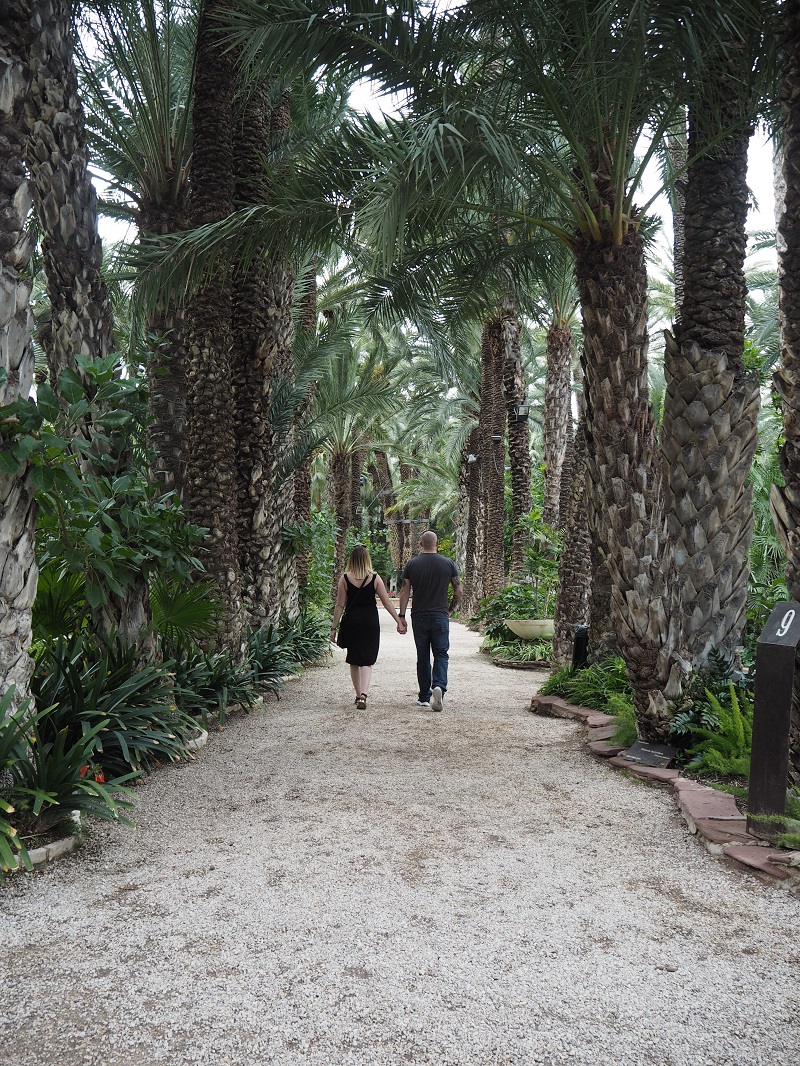 Couple walking through palm groves in Elche
