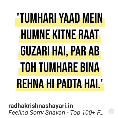 sorry feel shayari