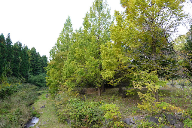 鳥取県西伯郡伯耆町小林　マウンテン ストリーム きしもと