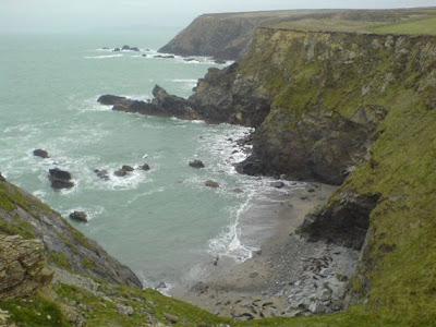 View of the cliffs at Gwithian, with seals on the beach below, 2008