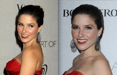 Celebrity 2010 Prom Hairstyles - Sophia Bush 