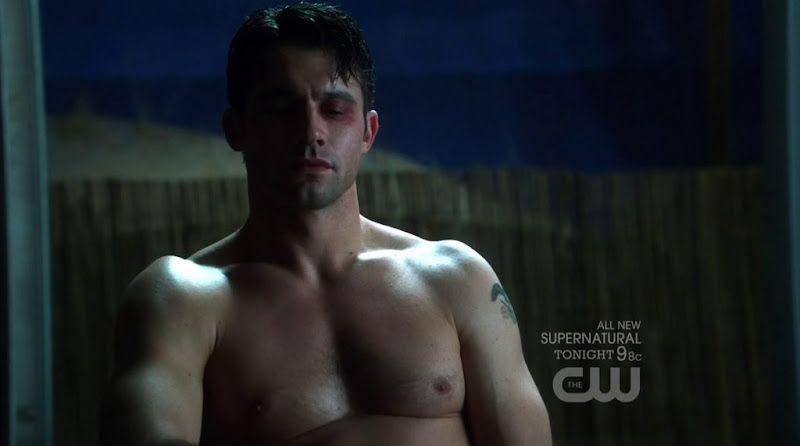 Dillon Casey Shirtless in Nikita s2e13