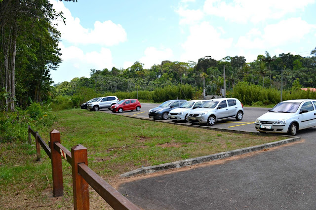 Guyane, Kourou, la montagne des singes, randonnée, jungle