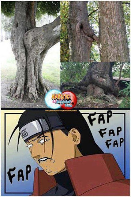 Thats what Hashirama likes