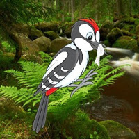 BigEscapeGames Help The Troubled Woodpecker
