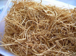 It also found that Panax ginseng root contains compounds that are beneficial to the body.