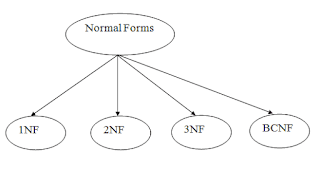 What is Normalization in the database