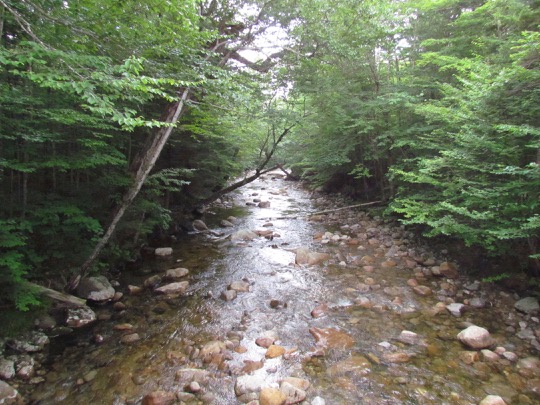 HikePartofLibertySpringTrail-1-2015-07-27-20-15.jpg