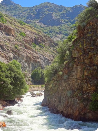 Kings River 7