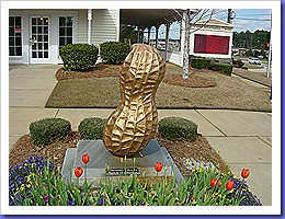 DSCN3573