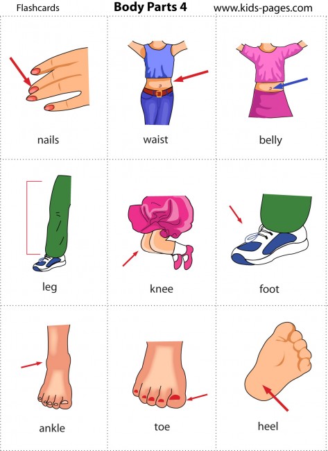 ENGLISH LESSONS - Children: LESSON 3 - Body Parts