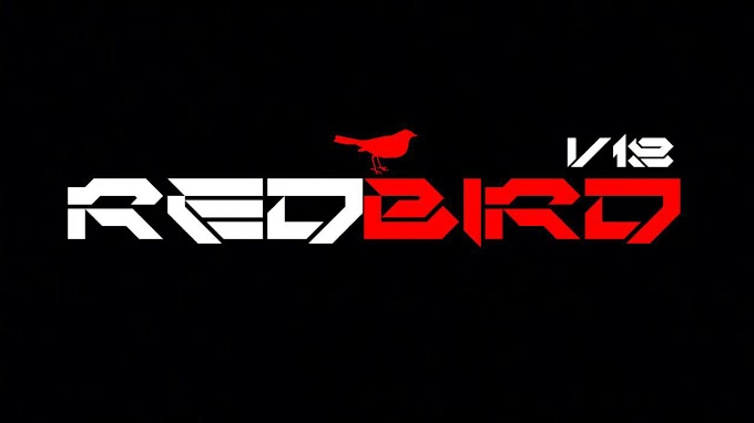 RedBird v18 | RedBird en este 2018