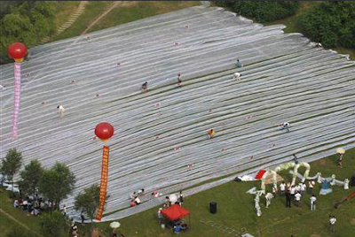 World's Longest Wedding Dress