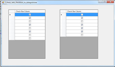 C# DataGridView CheckBox Column