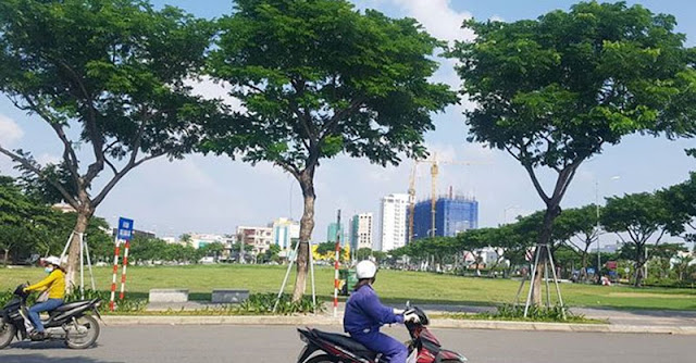 Xem xét tổ chức đấu giá lại 8 khu "đất vàng" tại Đà Nẵng