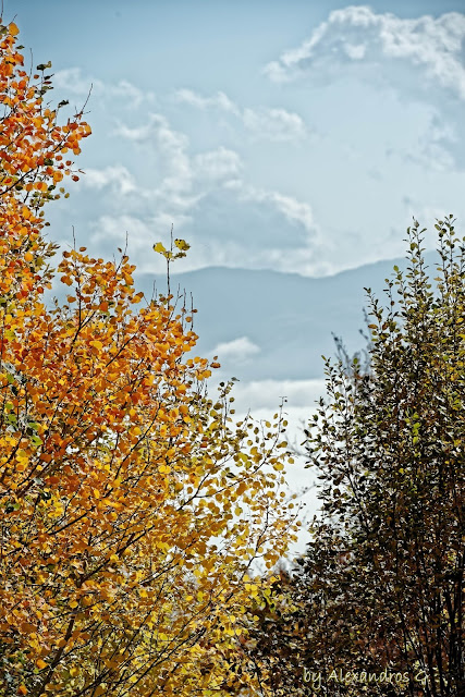 Autumn Colors (@Kaimaktsalan) - Χρώματα Φθινόπωρου (Καϊμακτσαλάν)