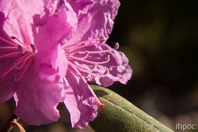 IMG_8802 copy