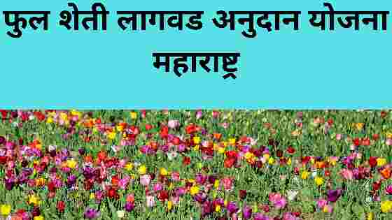 फुल शेती अनुदान योजना महाराष्ट्र २०२२ | Ful Sheti Anudan Yojana Maharashtra 2022