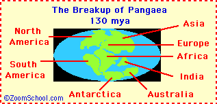 Dialah Sang Nenek Moyang Benua : Pangea