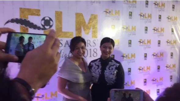  Stunning And Classy: Angel Locsin Stands Out In The Film Ambassadors’ Night 2018