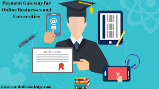 payment gateway for online businesses and universities