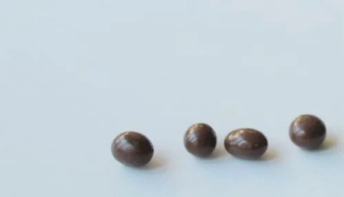 토끼똥-대변