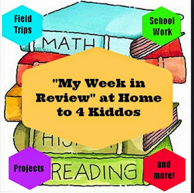 http://our4kiddos.blogspot.com/2014/08/premiere-of-my-week-in-review-linkup-822.html