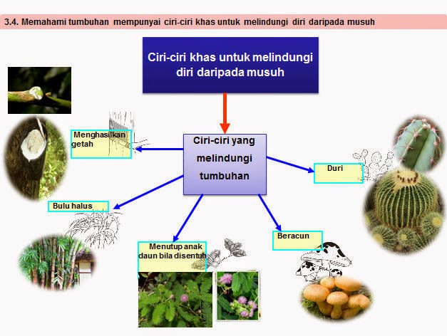 PENCARAN ILMU