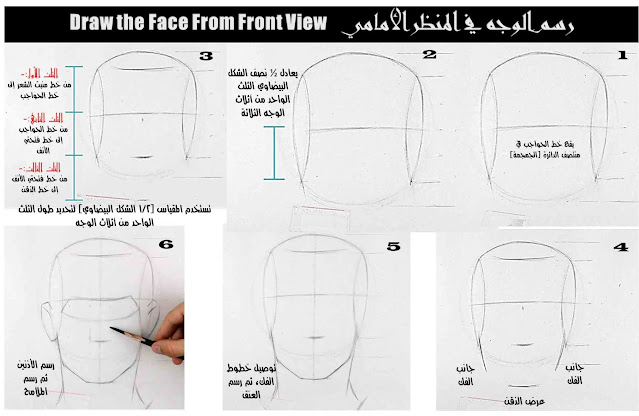 الرسم والتصوير / كيفية رسم الرأس - منظر أمامي