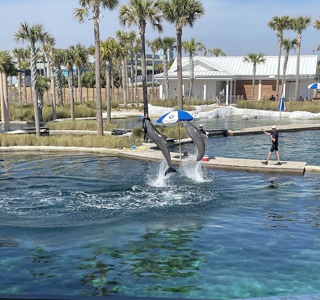 Gulfarium Marine Adventure Park