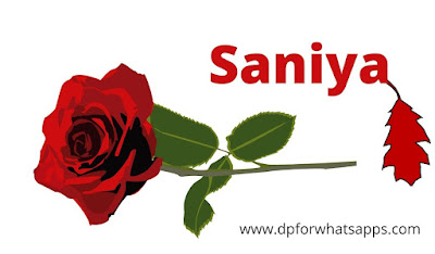 500+ saniya name dp | saniya name image | saniya name wallpaper | saniya name photo |