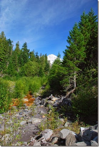 09-28-14 A Rainier NP (50)