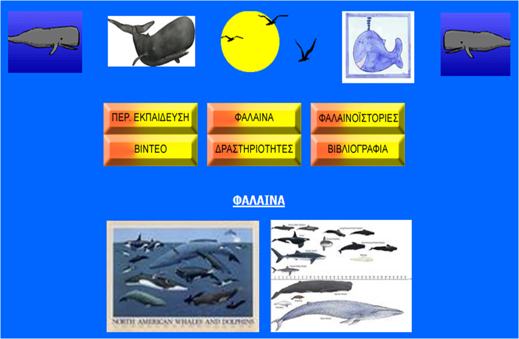 http://www.env-edu.gr/packs/Whale/falaina.html