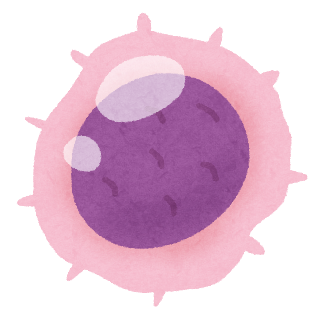 リンパ球のイラスト 白血球 かわいいフリー素材集 いらすとや