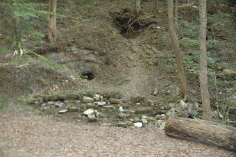 3. Carter Mill Park at spring source