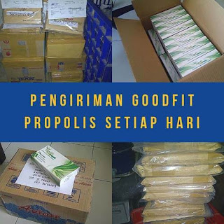 Bisnis propolis