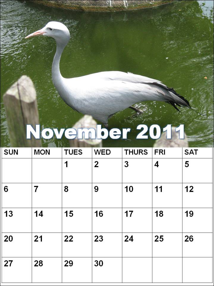 2011 november calendar. Blank Calendar 2011 November