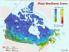 Hardiness Zone Map