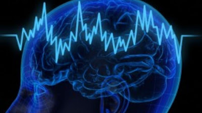 Brain waves