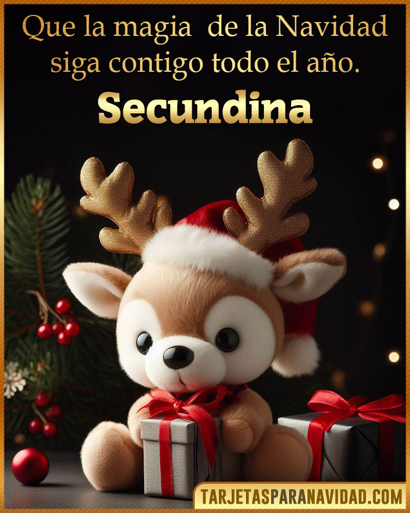 Felicitaciones de Navidad originales para Secundina