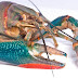 กุ้งก้ามแดง หรือเครย์ฟิช Crayfish จากวิกิพีเดีย