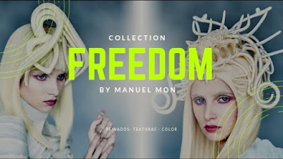 PEINADOS 2019 │ FREEDOM 3D by MANUEL MON