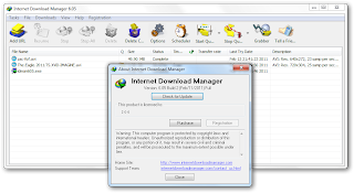 Picture showing Registered IDM 6.05 Build 2
