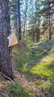 Control bag hanging on a tree