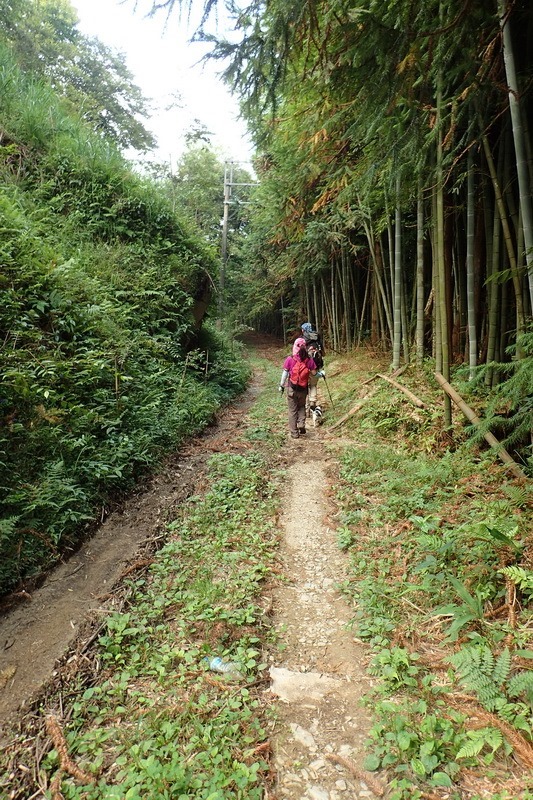 2014_1004 卓社林道登水社大山_058