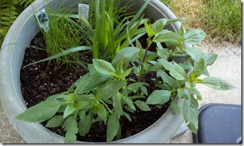2012-04-09_07-19-27_599 2012-04-09_07-19-27_599