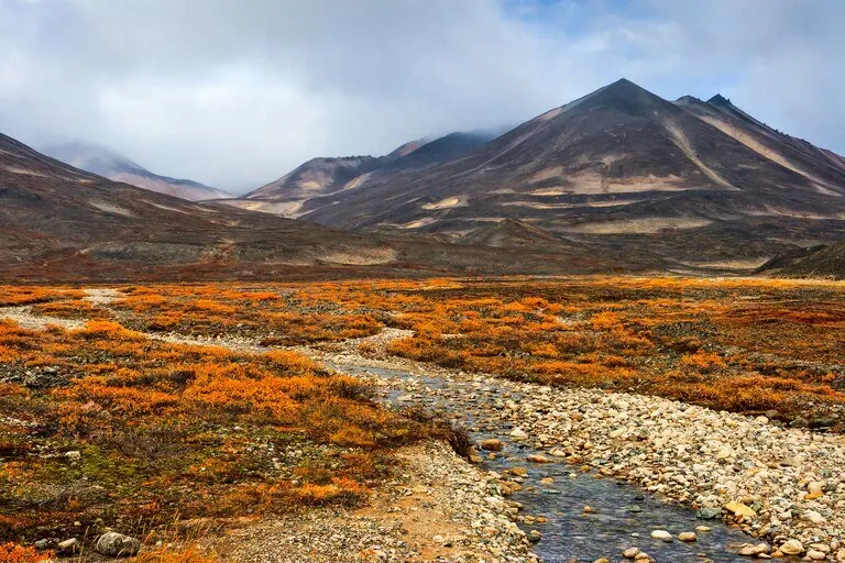 SEGÚN ESTUDIO, SOLO EL 3% de la superficie terrestre está ecológicamente intacta
