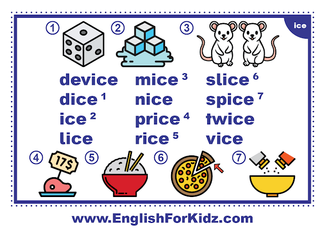 ice family words - printable flashcard with pictures