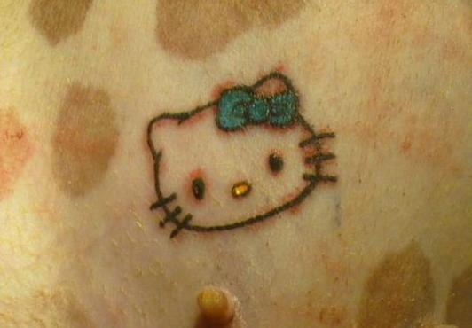 This dog has a Hello Kitty tattoo on its belly, apparently for